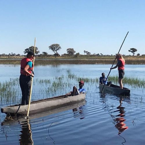 Okavango Delta cruise Team 2 poling